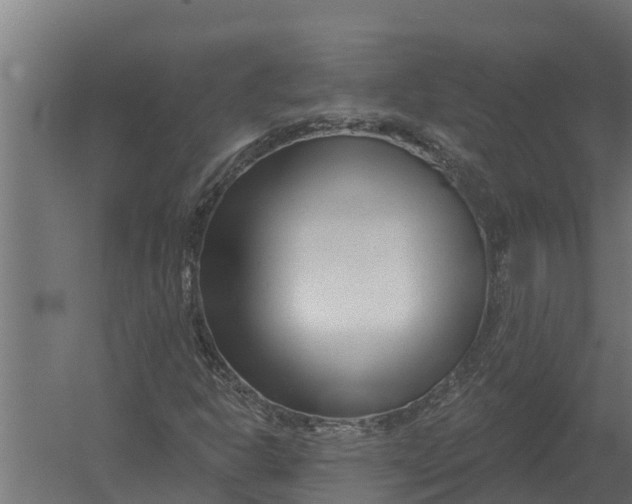 X0000052941302200507300008