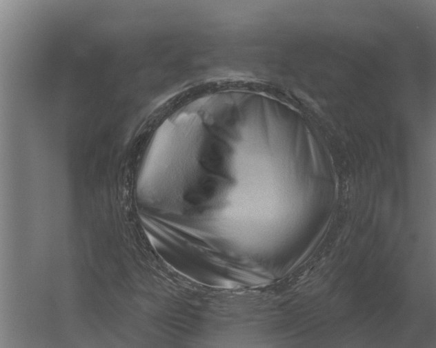 X0000052941303200507300008