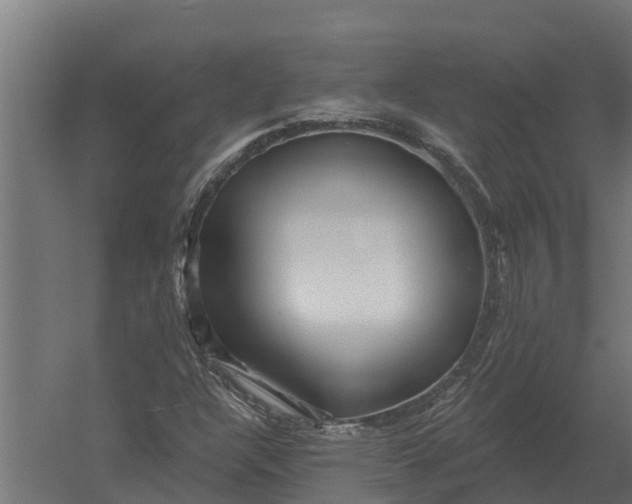 X0000052941304200507300008