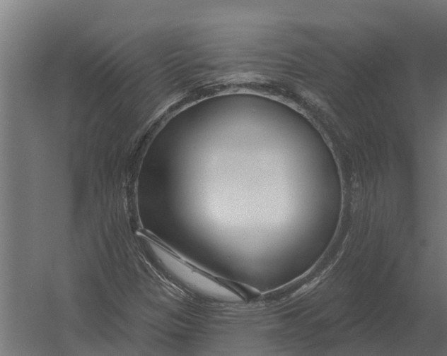 X0000052941305200507300008