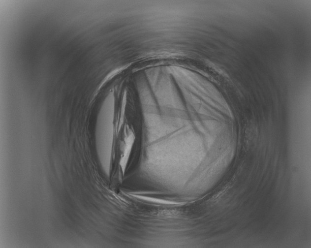 X0000052941306200507300008