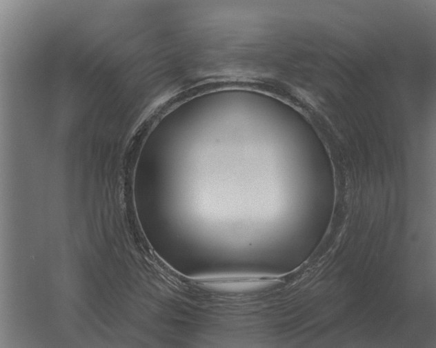 X0000052941307200507300008