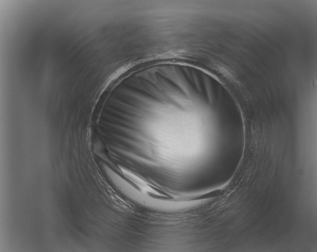 X0000052941308200507300008