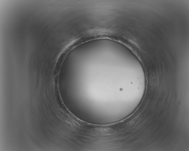 X0000052941309200507300008