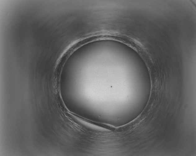 X0000052941310200507300008