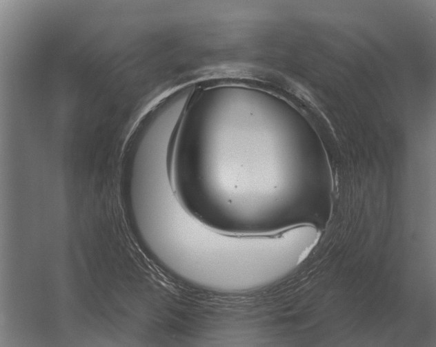 X0000052941312200507300008