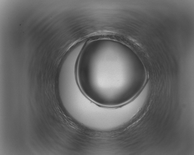 X0000052941313200507300008