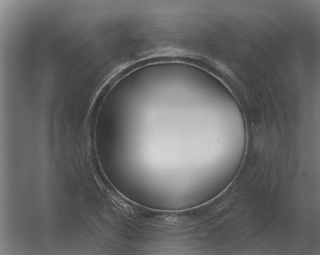 X0000052941318200507300008