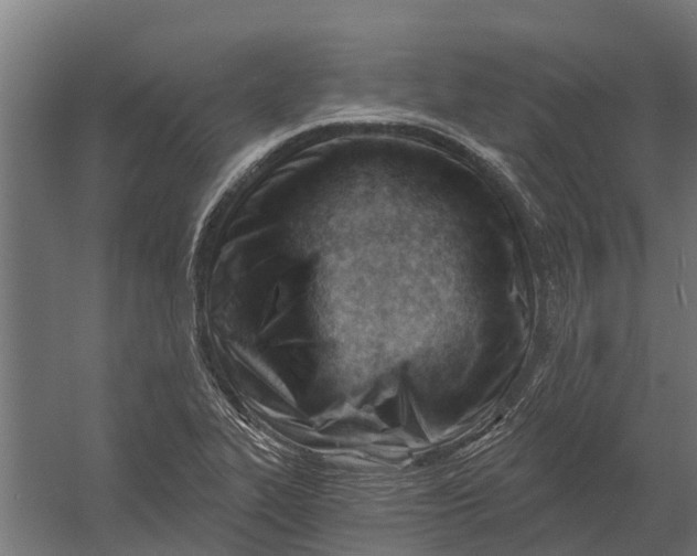 X0000052941319200507300008