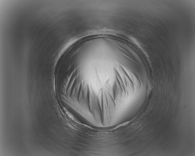 X0000052941320200507300008