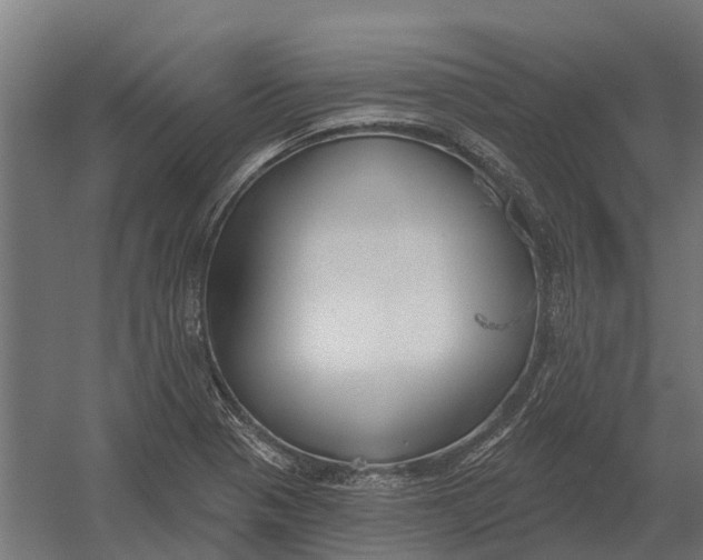 X0000052941321200507300008