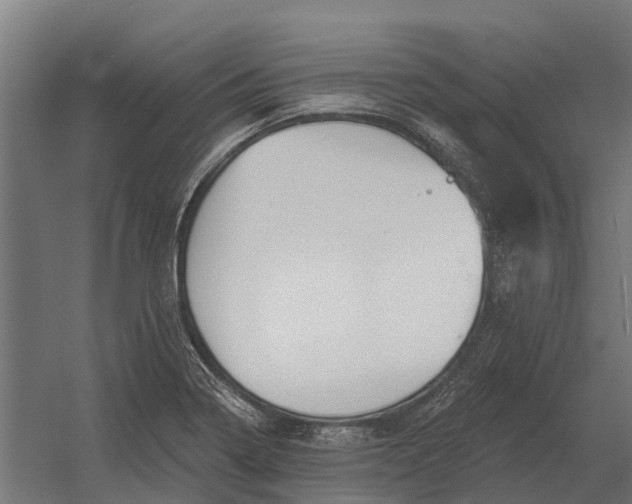 X0000052941322200507300008