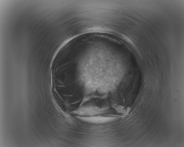 X0000052941323200507300008