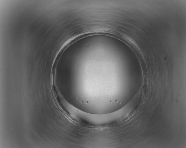 X0000052941324200507300008