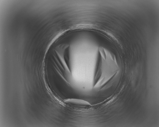 X0000052941325200507300008