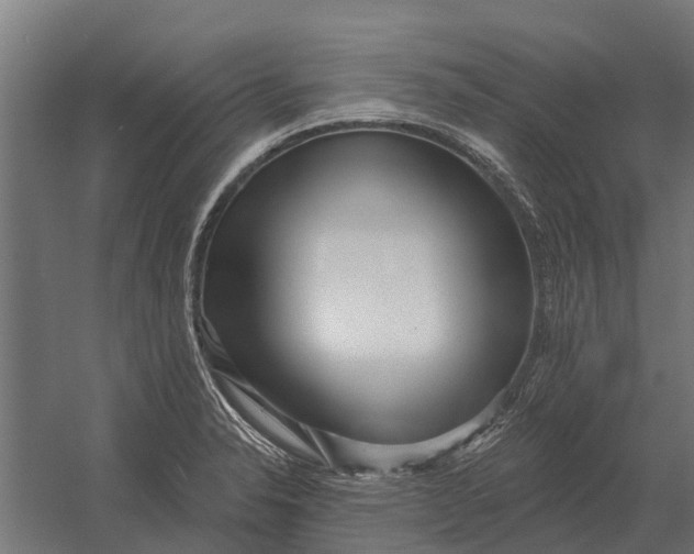 X0000052941326200507300008