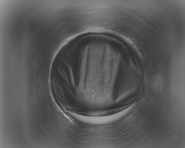 X0000052941327200507300008