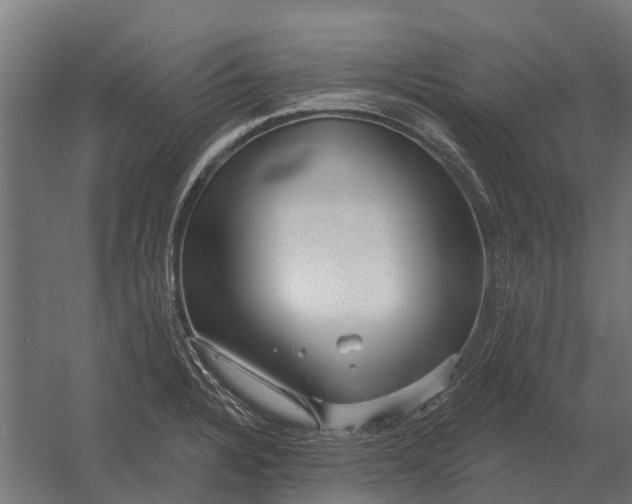 X0000052941328200507300008