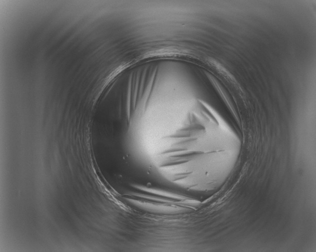 X0000052941329200507300008