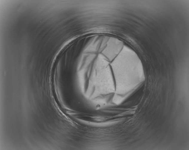 X0000052941331200507300008