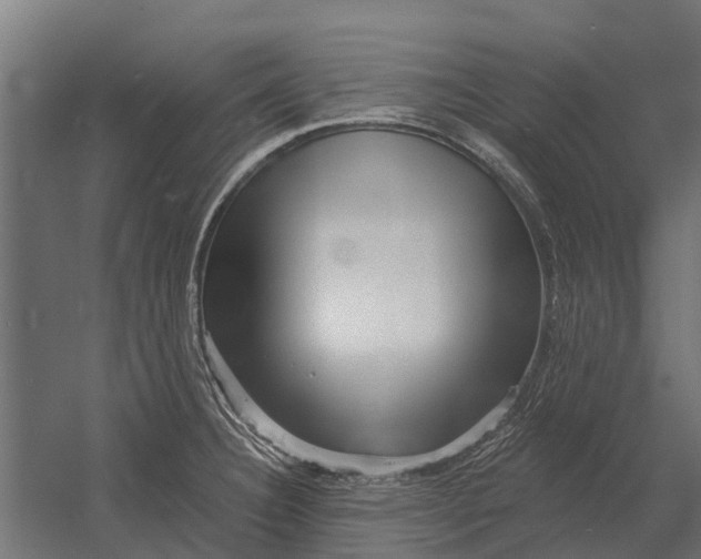 X0000052941332200507300008