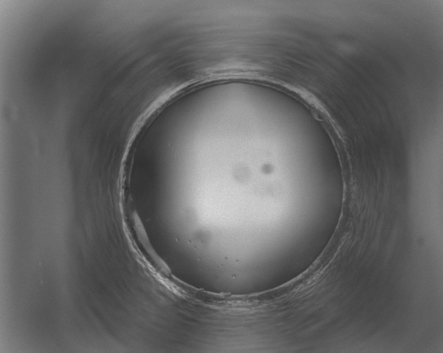 X0000052941333200507300008