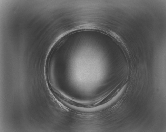 X0000052941334200507300008