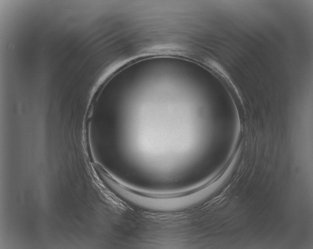 X0000052941336200507300008