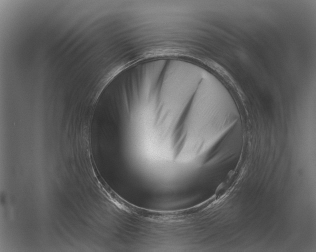 X0000052941337200507300008