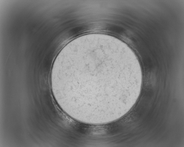 X0000052941338200507300008