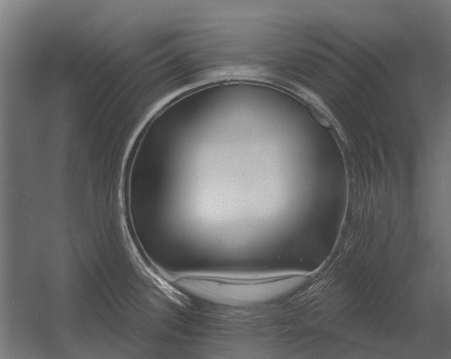 X0000052941339200507300008