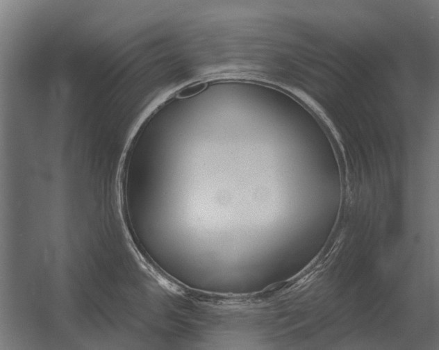 X0000052941341200507300008