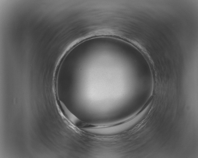 X0000052941342200507300008