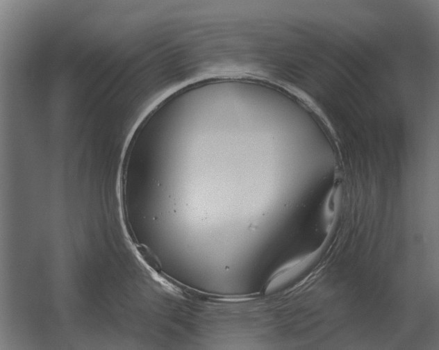 X0000052941343200507300008