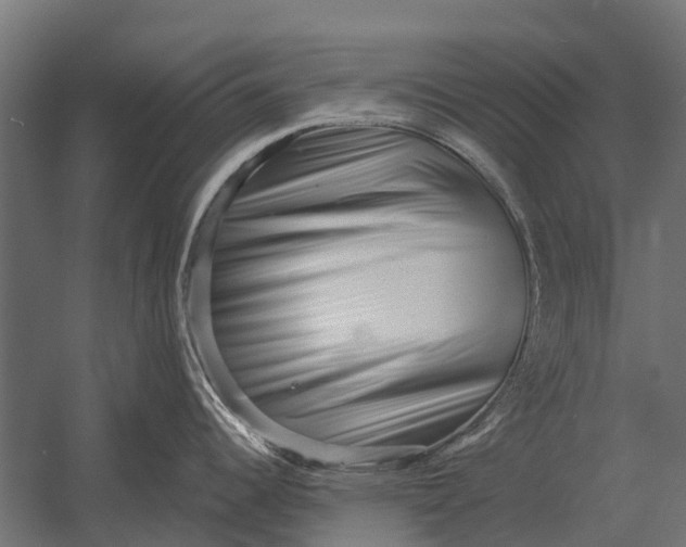 X0000052941344200507300008