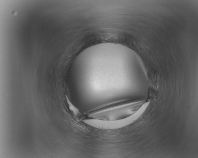 X0000052941345200507300007