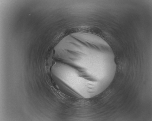 X0000052941346200507300007