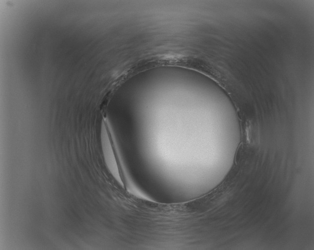 X0000052941347200507300007