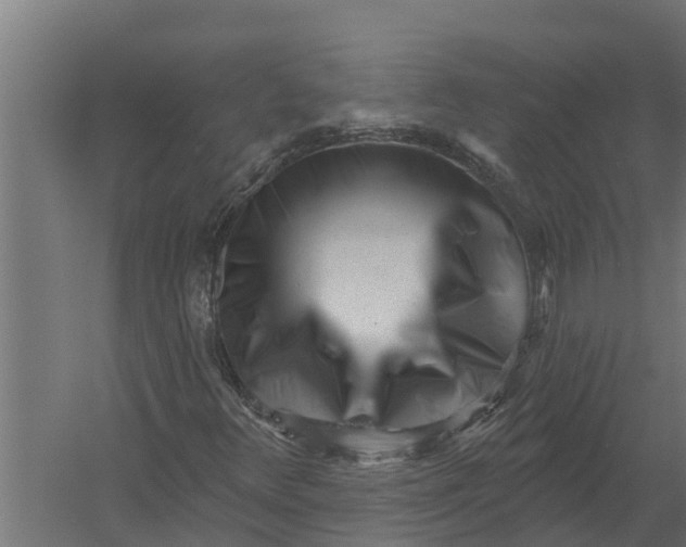 X0000052941348200507300007