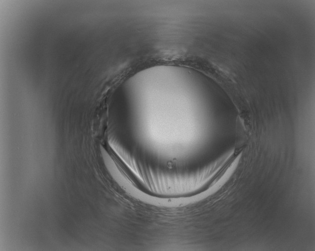 X0000052941349200507300007