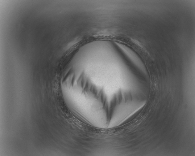 X0000052941350200507300007