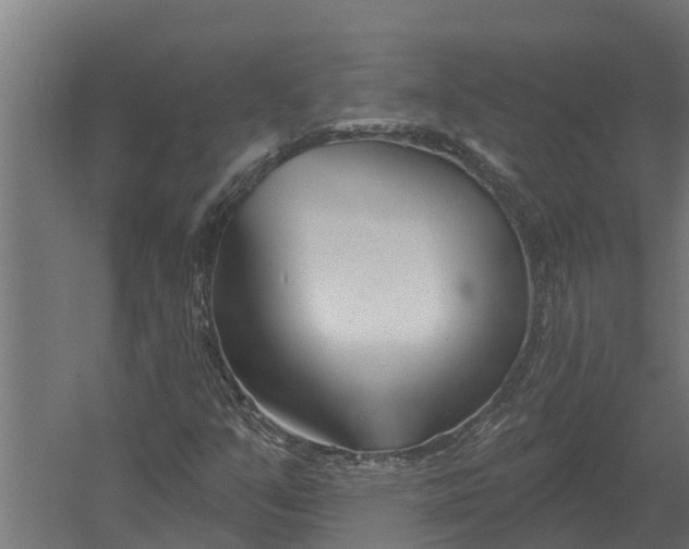 X0000052941351200507300007