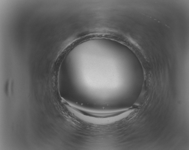 X0000052941352200507300007