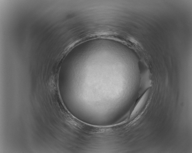 X0000052941353200507300007