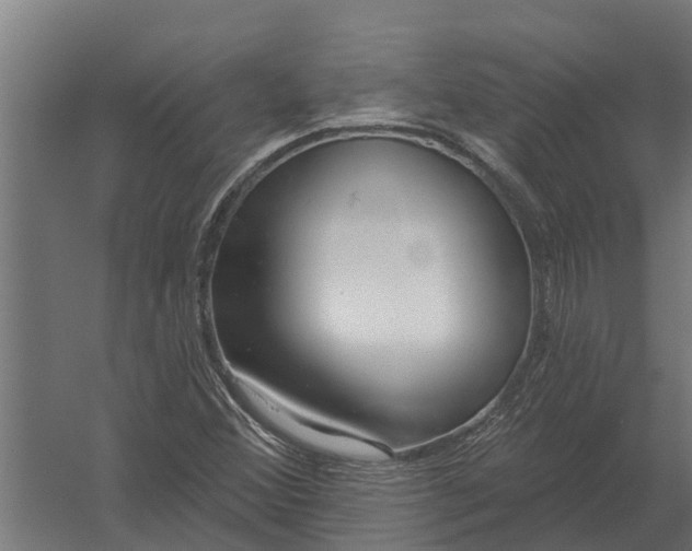 X0000052941356200507300007