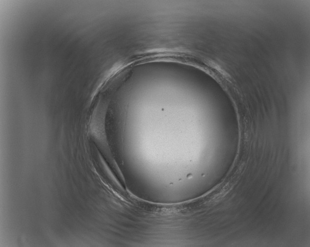 X0000052941357200507300007