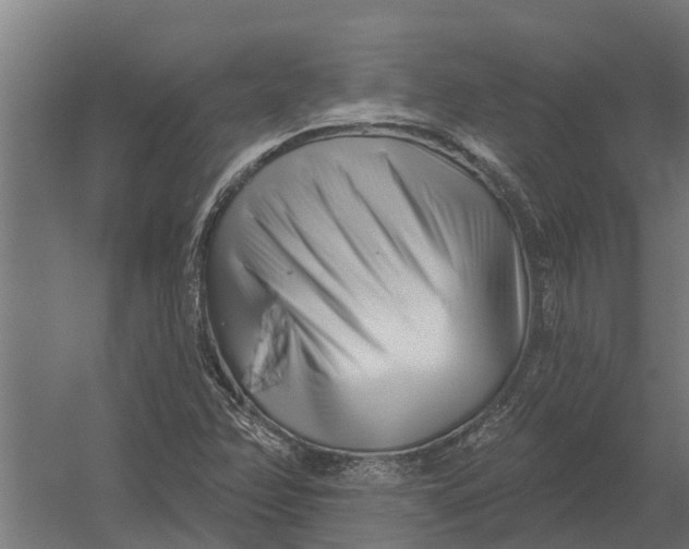 X0000052941358200507300007