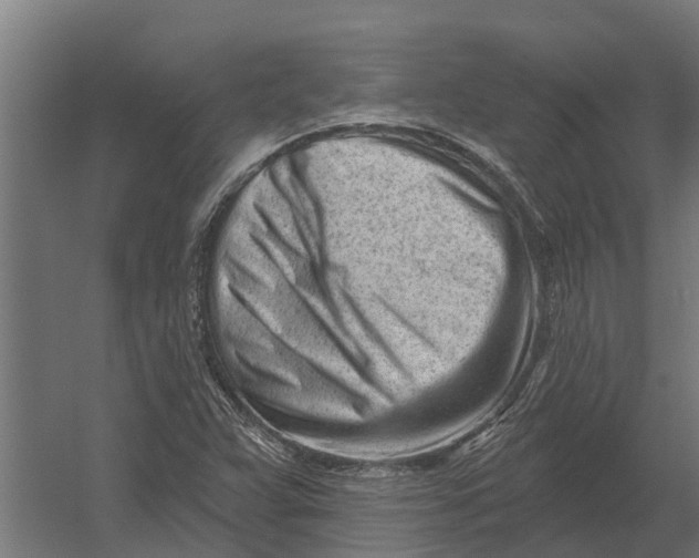 X0000052941359200507300007