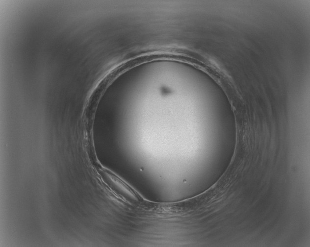 X0000052941360200507300007