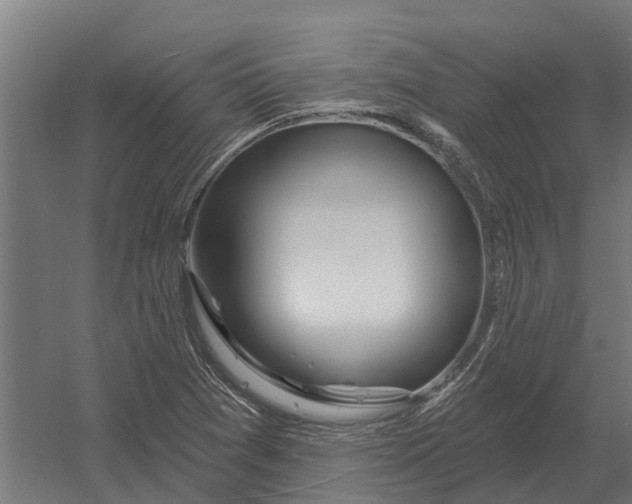 X0000052941361200507300007